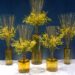 ビタミンカラー、イエローのフラワーアレンジメント【器・花連載22】